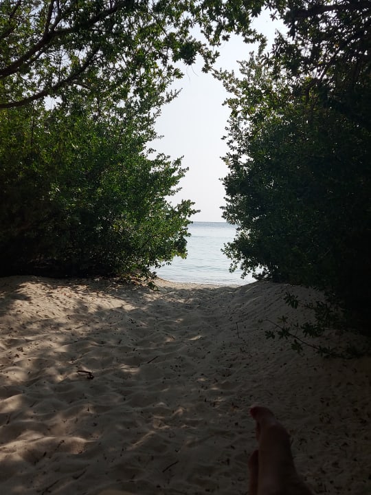 Ausblick Embudu Village