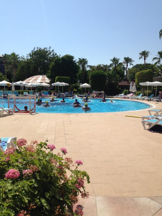 Pool Palmeras Beach Hotel