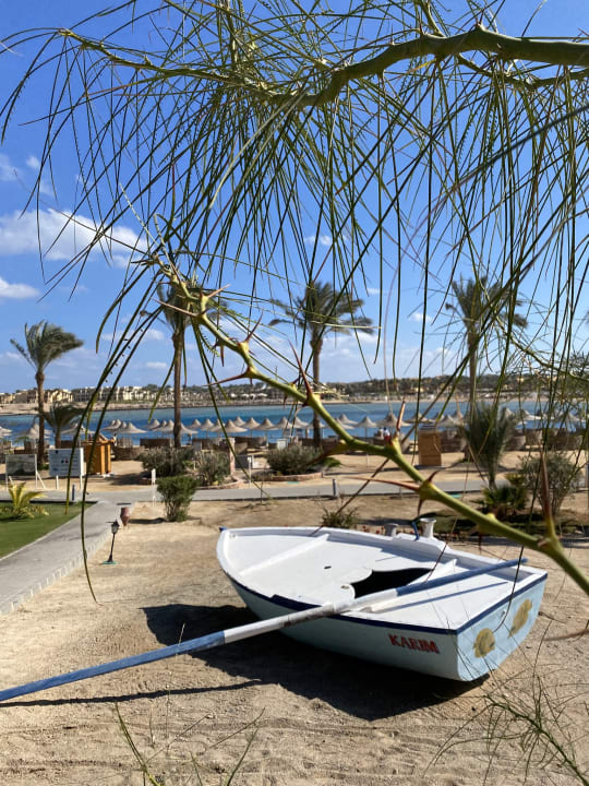 Gartenanlage Steigenberger Coraya Beach - Adults only