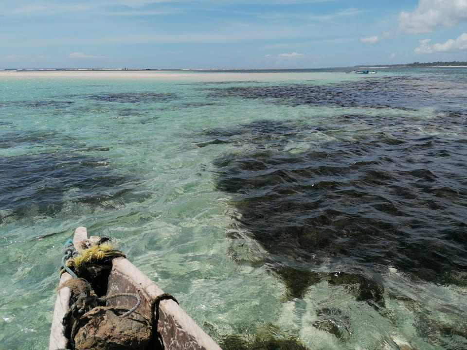 Strand Diani Sea Resort