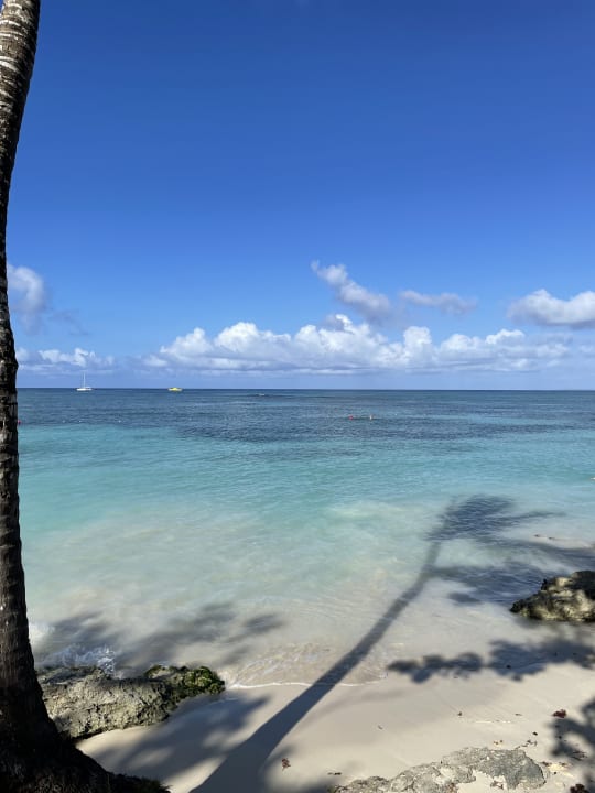 Ausblick Secrets La Romana Resort & Spa - Adult Only