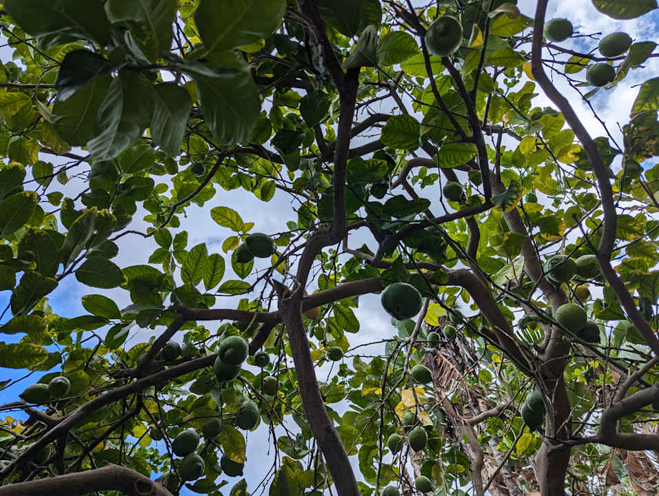 Gartenanlage Aldiana Club Rocca Nettuno Calabria