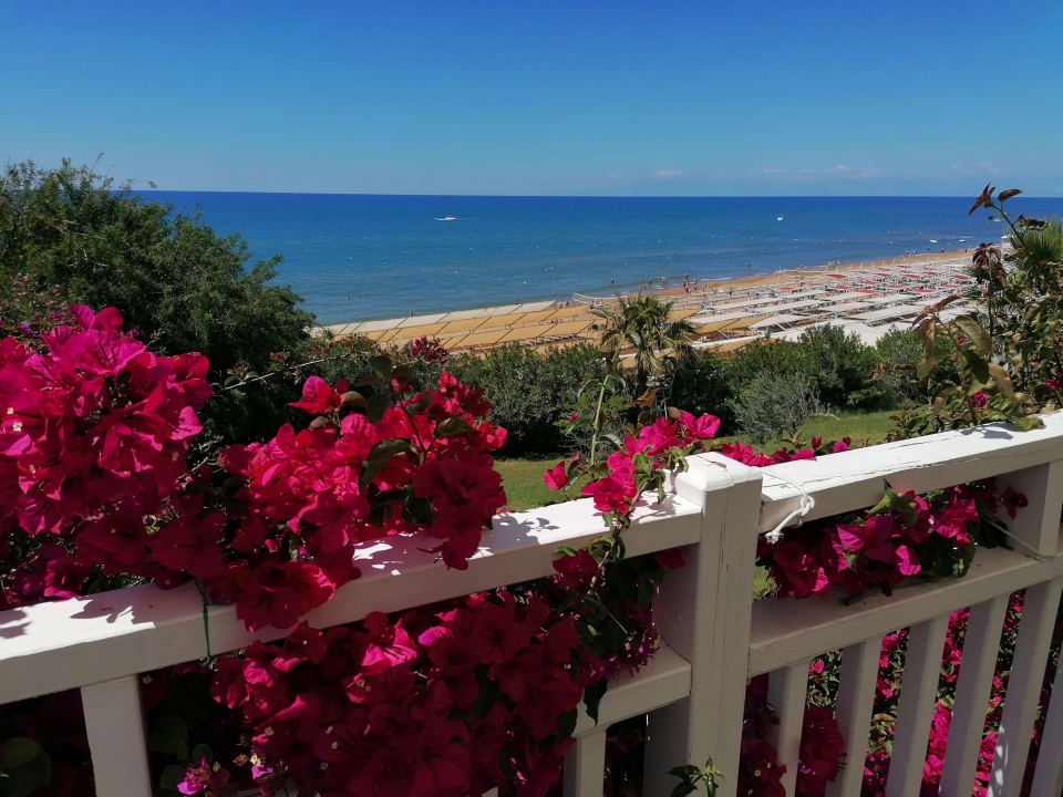 Ausblick Can Garden Resort