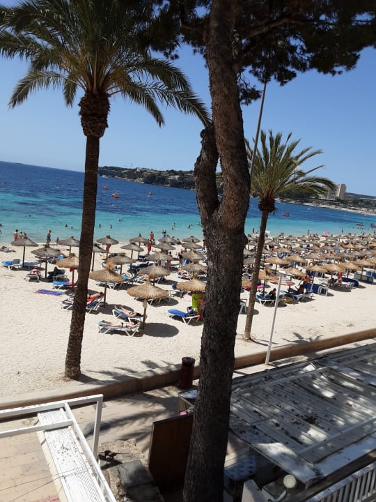 Strand Flamboyan Caribe Hotel & Spa