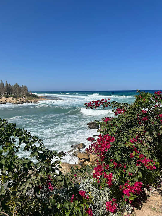 Außenansicht Crystal Springs Beach Hotel