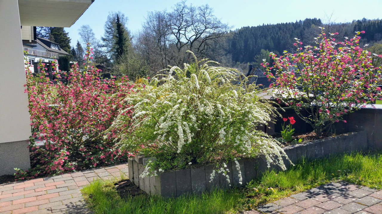 Gartenanlage Land-gut-Hotel Zur Brücke