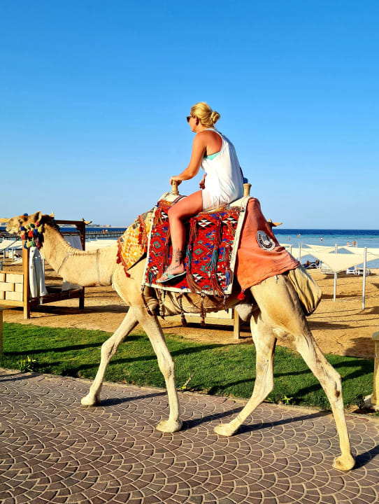 Außenansicht Tropitel Sahl Hasheesh