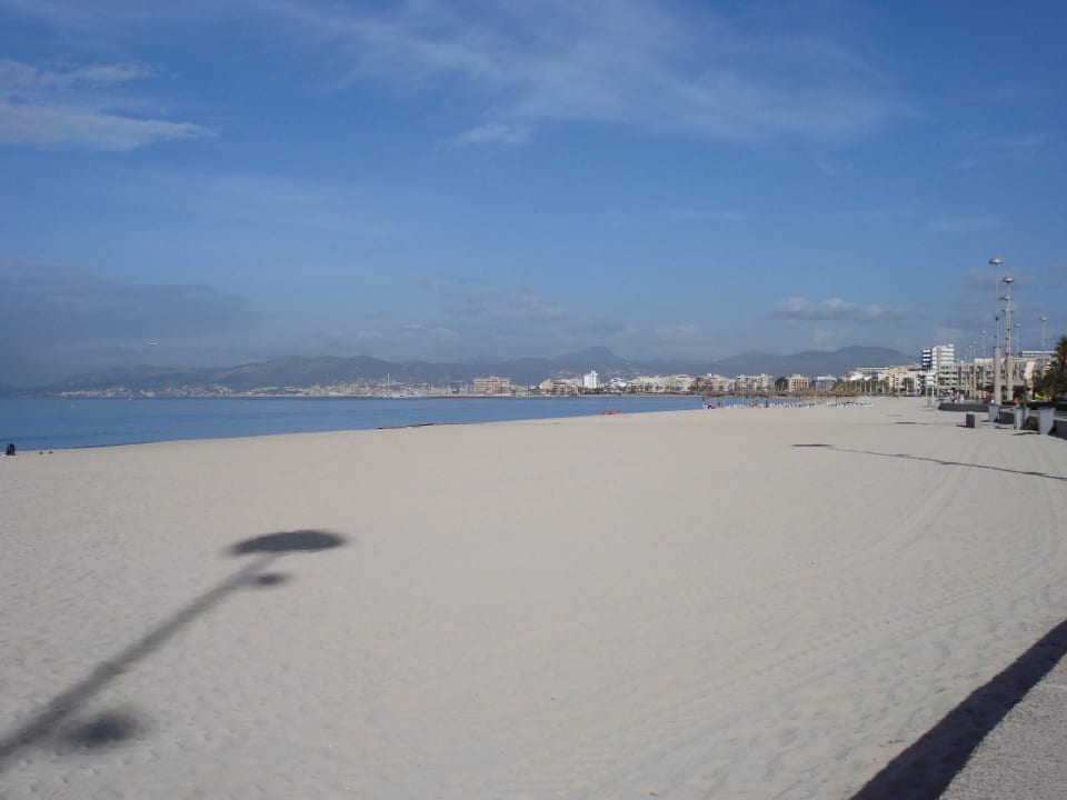 Viel freie Zone HM Tropical