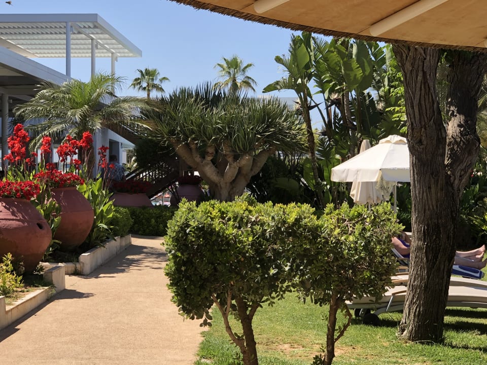 Gartenanlage Hotel Sunrise Beach