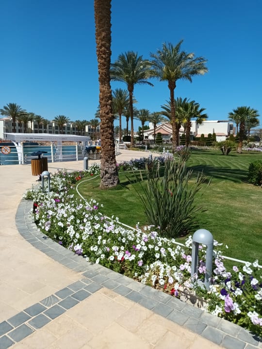 Gartenanlage Pickalbatros Dana Beach Resort - Hurghada