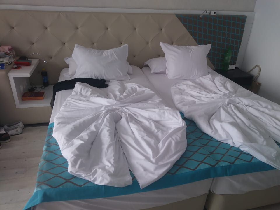 Zimmer Sentido Marea