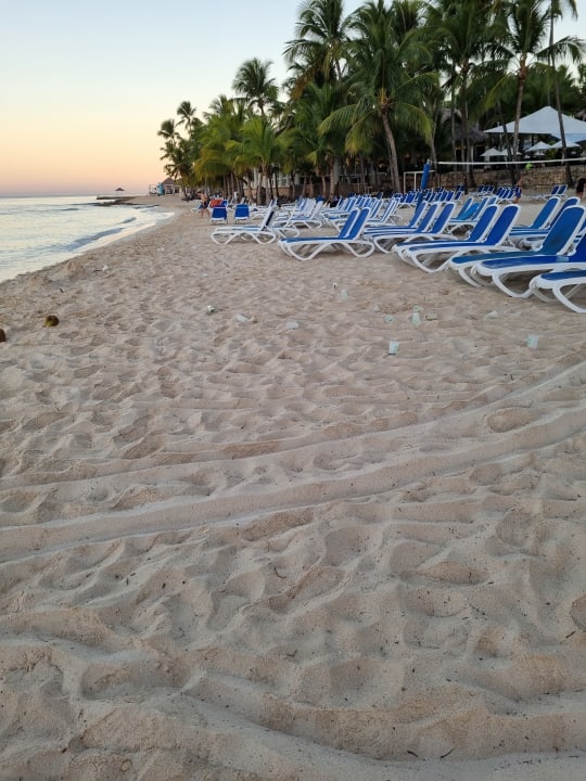 Strand Hotel Viva Dominicus Beach by Wyndham - All Inclusive Resort
