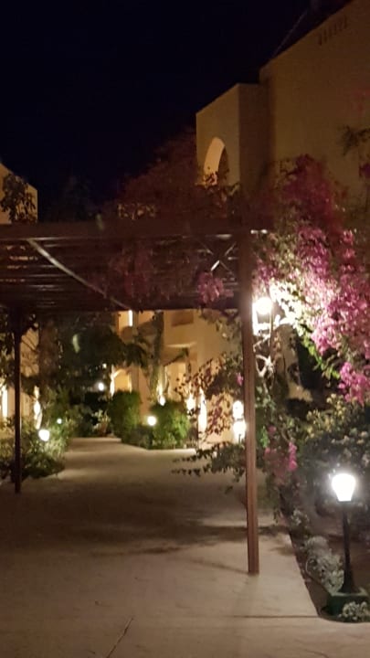 Sonstiges Steigenberger Coraya Beach - Adults only