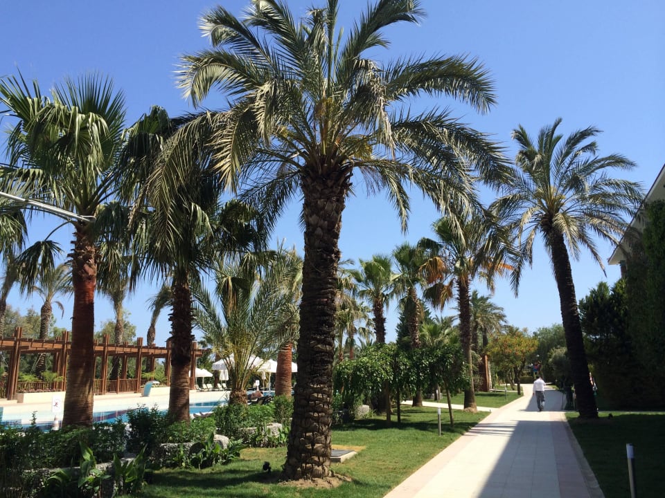 Toller Garten mit Palmen Belek Beach Resort Hotel