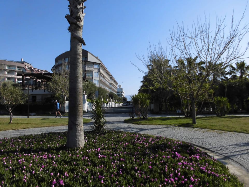 Blick vom Strand zum Hotel Port Side Resort Hotel