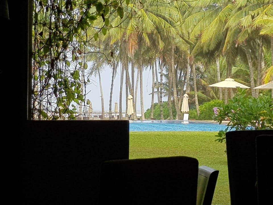Pool Hotel Taprobana Wadduwa