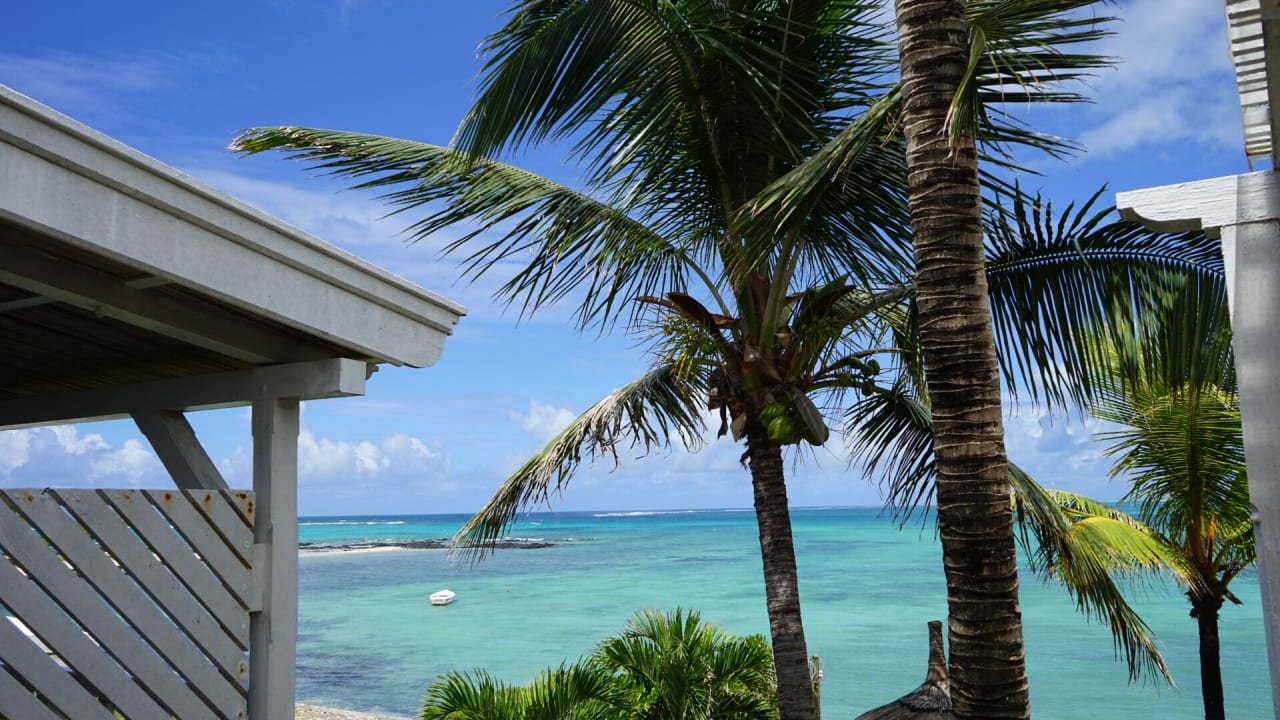 Ausblick Tropical Attitude - Adults only
