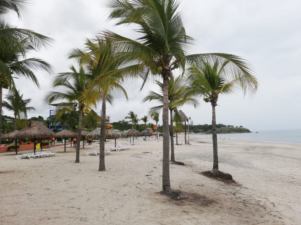 Strand Grand Decameron Panama, A Trademark All Inclusive Resort
