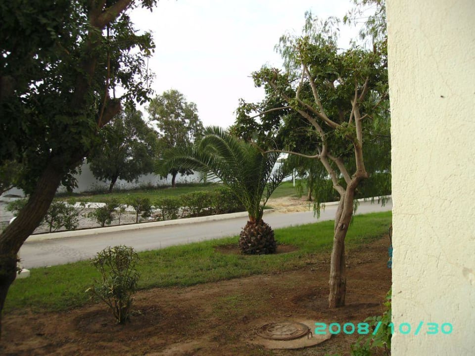 Blick aus Zimmer El Mouradi Club Kantaoui