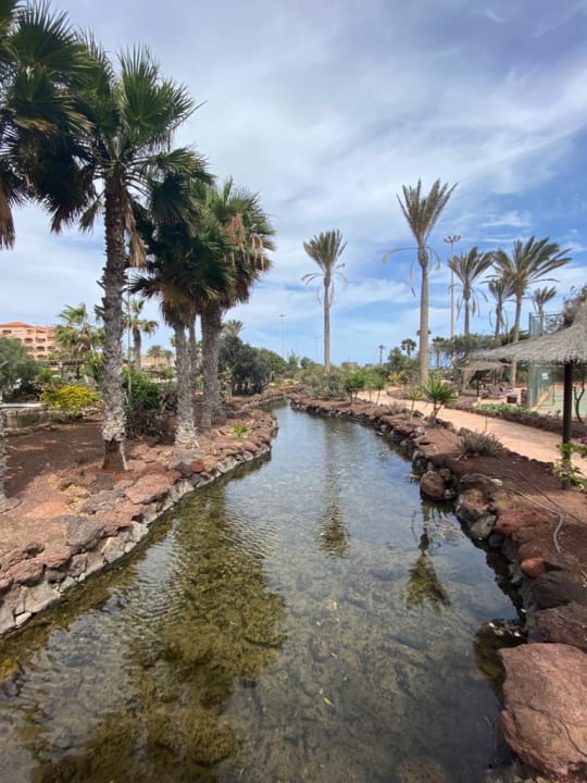 Gartenanlage Elba Sara Beach & Golf Resort