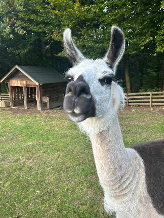 Gartenanlage Naturel Hoteldorf Schönleitn