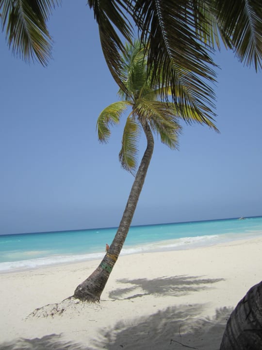 Blick ins Paradies Grand Palladium Select Bávaro Resort & Spa