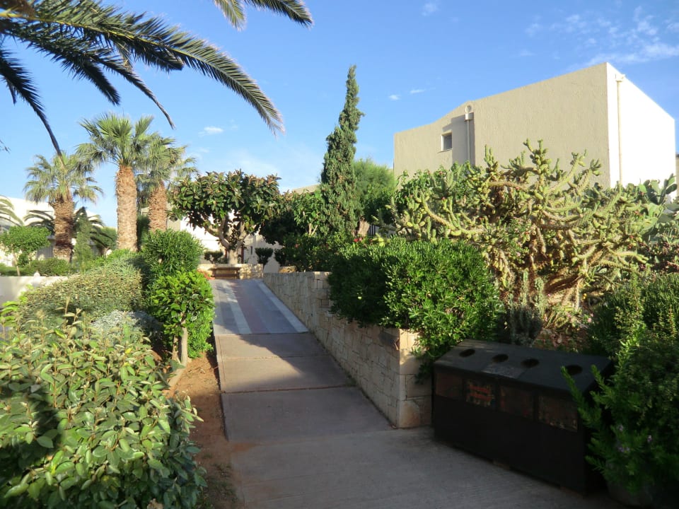 Weg zum Strand Phãea Cretan Malia