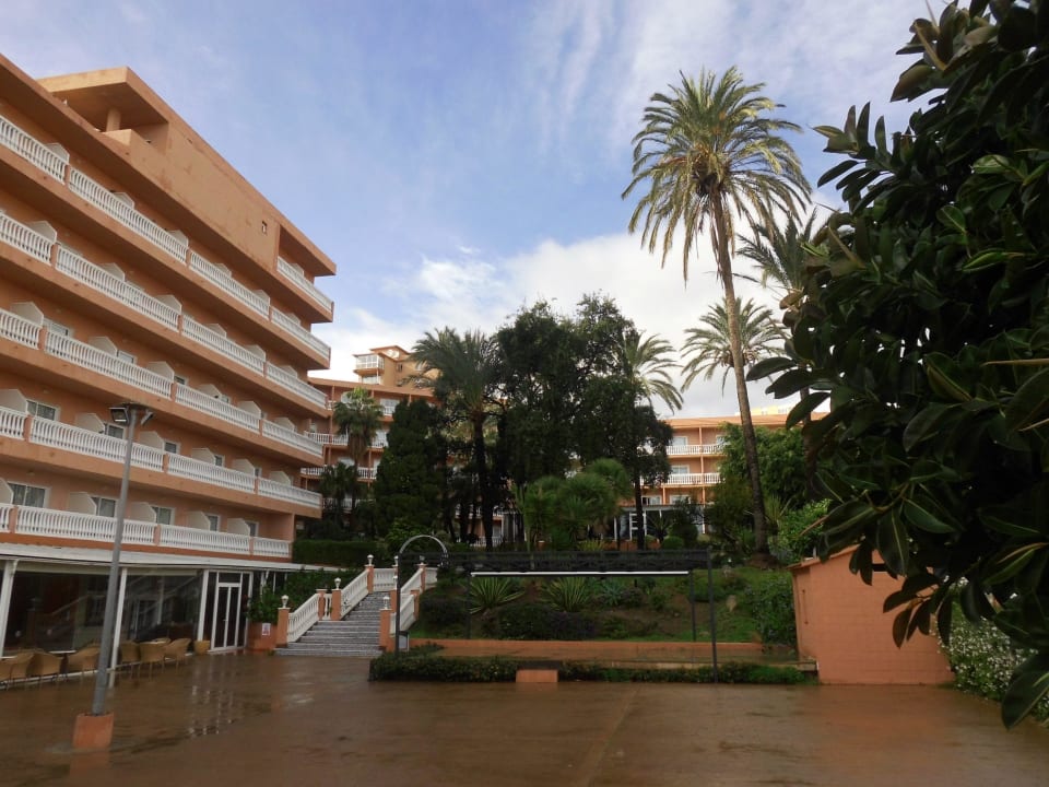 Garten mit Papageien, Wasserlandschaft, viele Palm Hotel Best Siroco