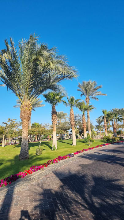 Gartenanlage Steigenberger Aqua Magic