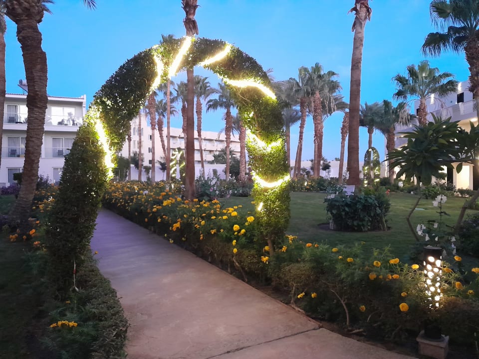 Gartenanlage Amarina Abu Soma Resort & Aquapark