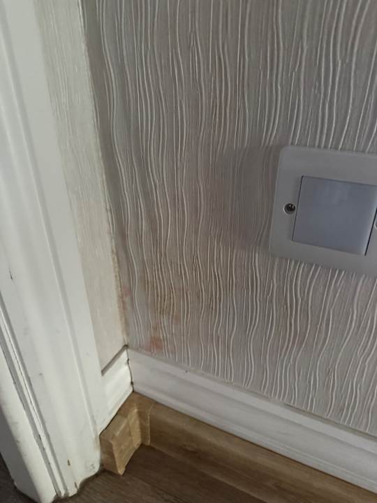 Zimmer EuroParcs Zuiderzee