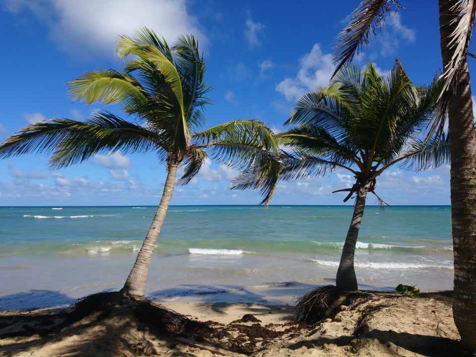 Strand Grand Sirenis Punta Cana Resort & Aquagames