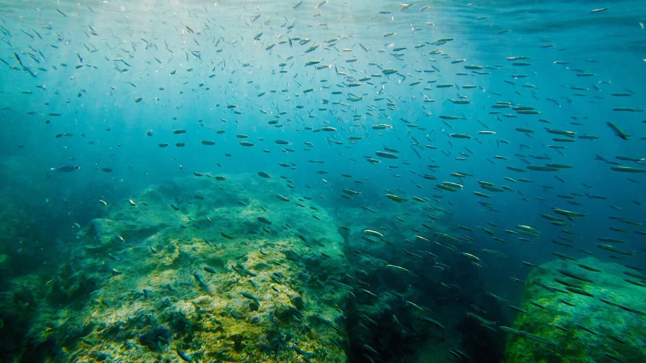 Strand Crystal Springs Beach Hotel