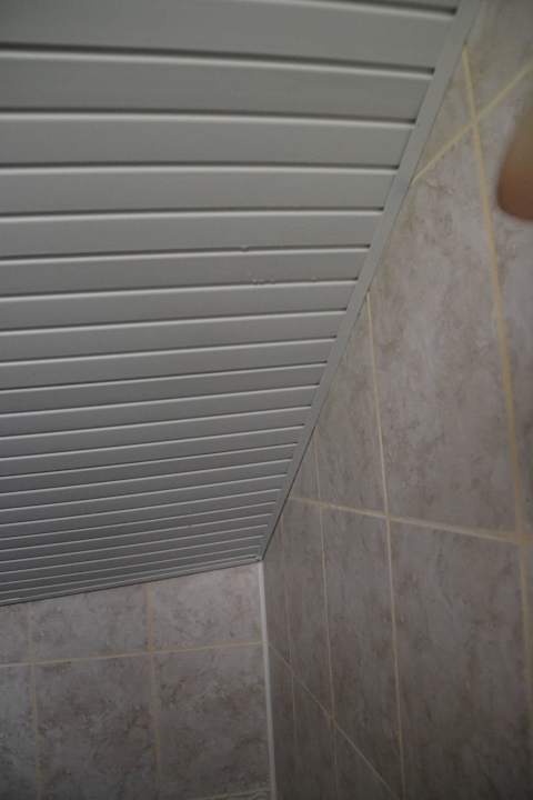 WC Decke Selectum Family Comfort Side