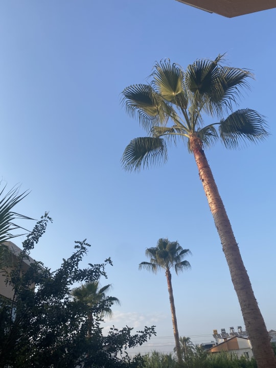 Gartenanlage Side Mare Resort & Spa