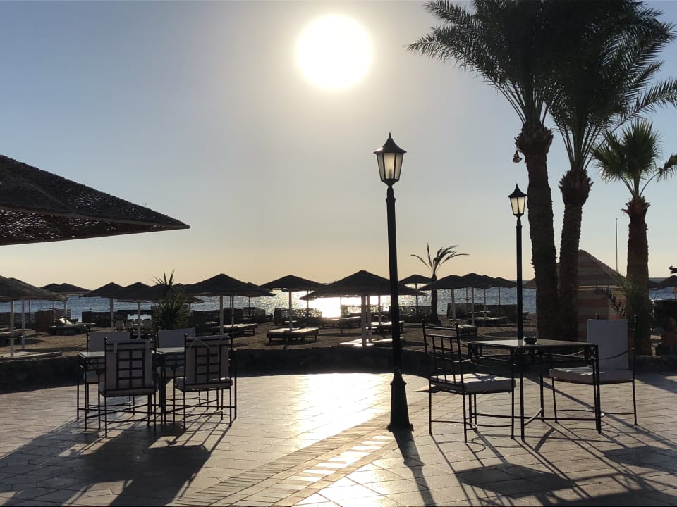 Gastro Eagles Paradise Abu Soma