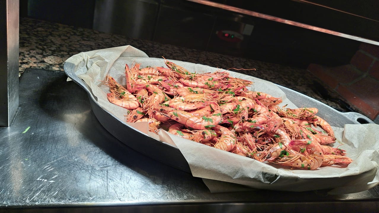 Gastro ROBINSON NOBILIS