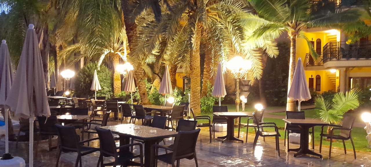 Gartenanlage Hotel Yetkin