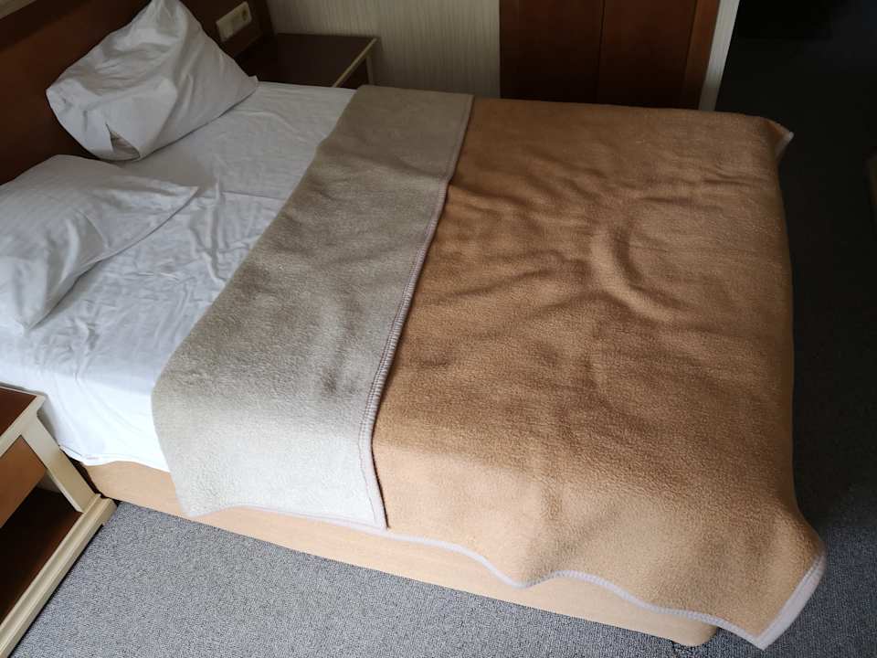 Zimmer Hotel Palm