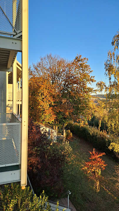 Ausblick Vitalhotel König am Park