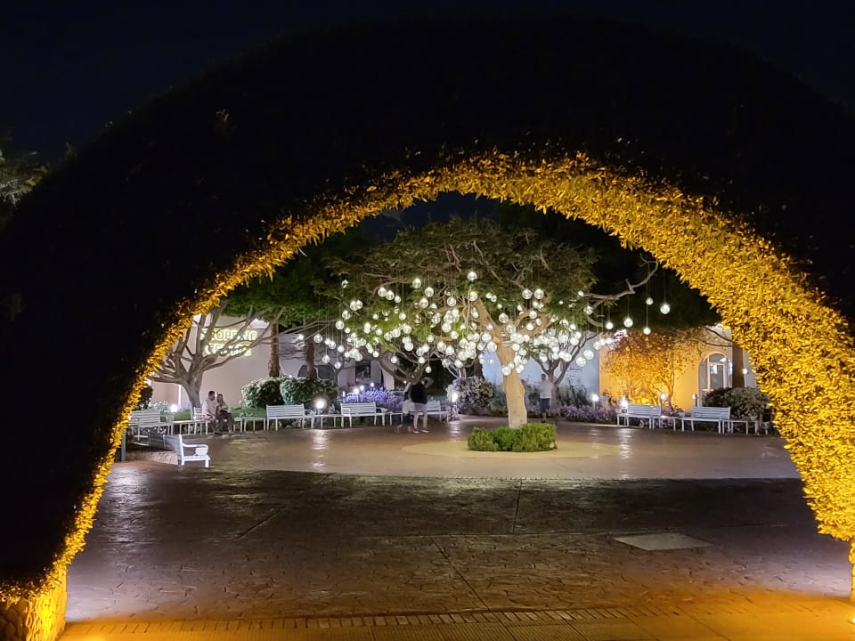 Außenansicht Desert Rose
