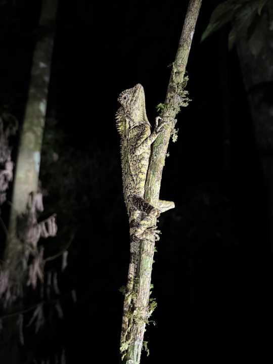 Gartenanlage Friendship Guesthouse