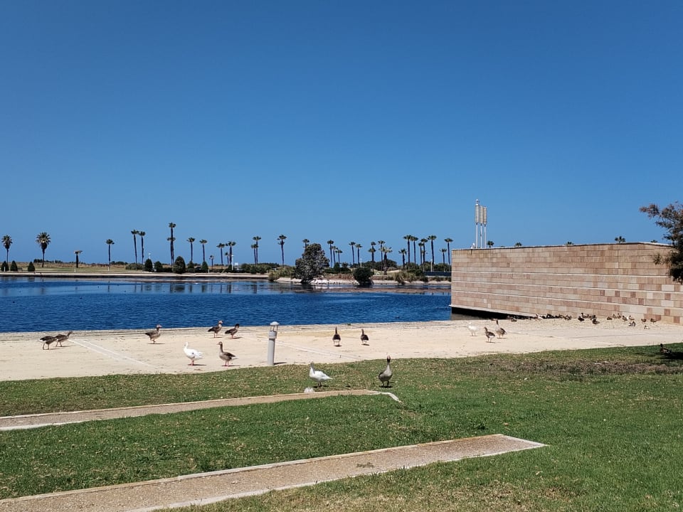 Strand Hotel Best Costa Ballena