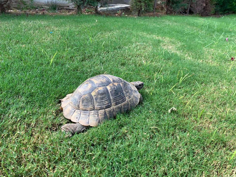 Gartenanlage Dobedan Exclusive Hotel And Spa