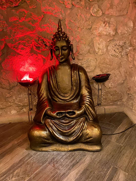 Gastro Pickalbatros Citadel Resort