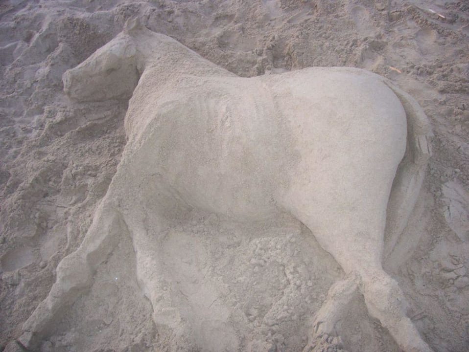 Kunstwerk Grupotel Imperio Playa