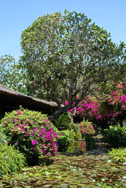 Bali Hyatt Hyatt Regency Bali