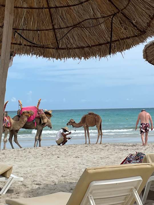 Strand TUI MAGIC LIFE Penelope Beach