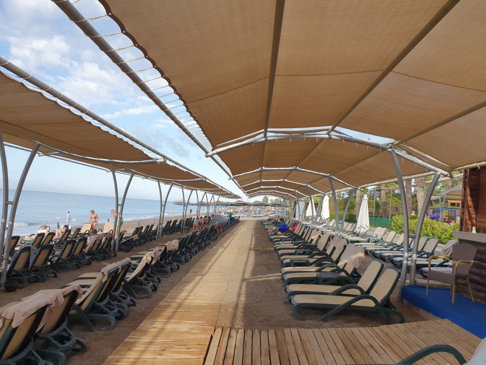 Strand Crystal Family Comfort Collection