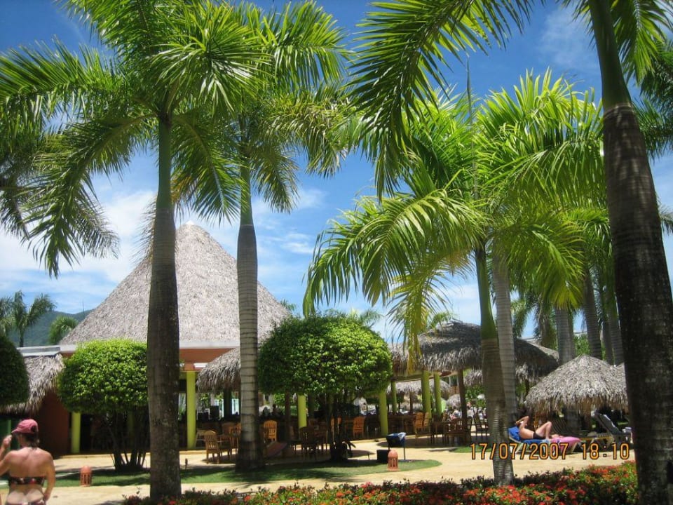 Gartenanlage Iberostar Waves Costa Dorada
